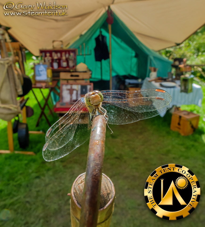 The Dragonfly sentry -The Steam Tent Co-operative.  Gary Waidson - www.Steamtent.uk