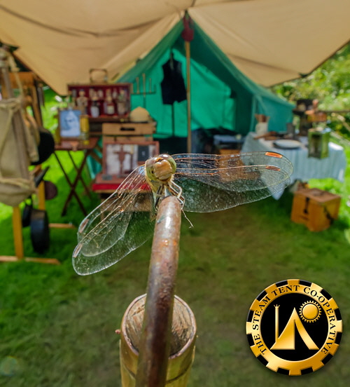 The Steam Tent Co-operative at the Wilderness Gathering - The Steam Tent Co-operative. © Gary Waidson - www.Steamtent.uk